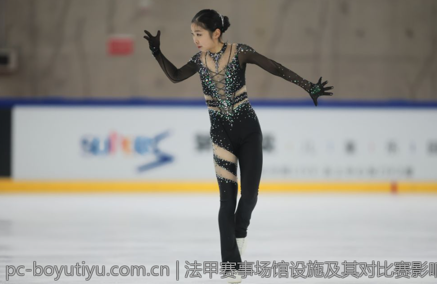 法甲赛事场馆设施及其对比赛影响探讨