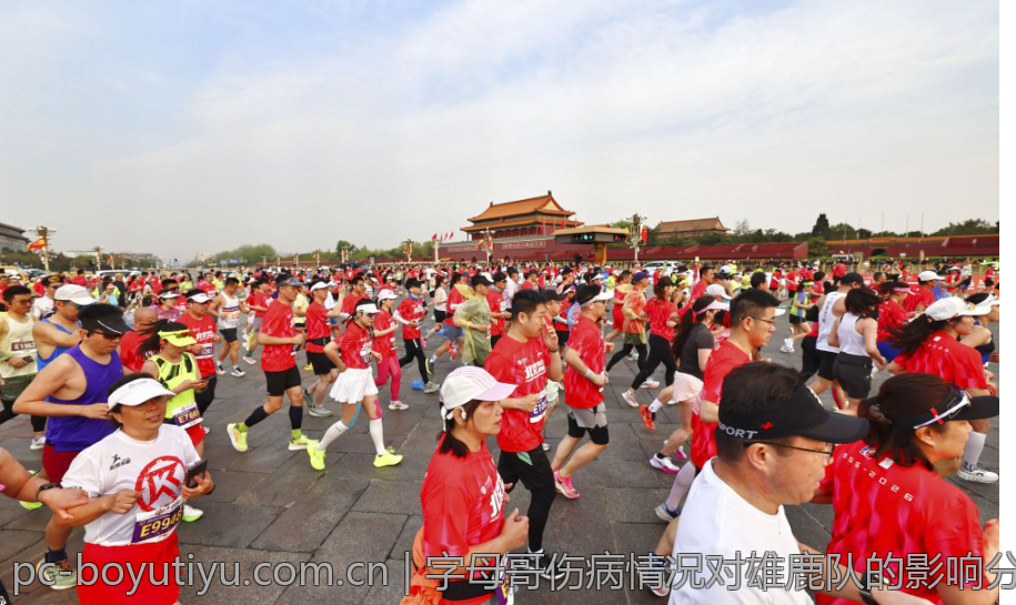 字母哥伤病情况对雄鹿队的影响分析