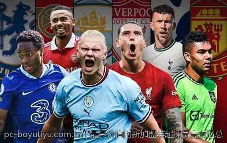 最具价值的新加盟英超球员亮点汇总